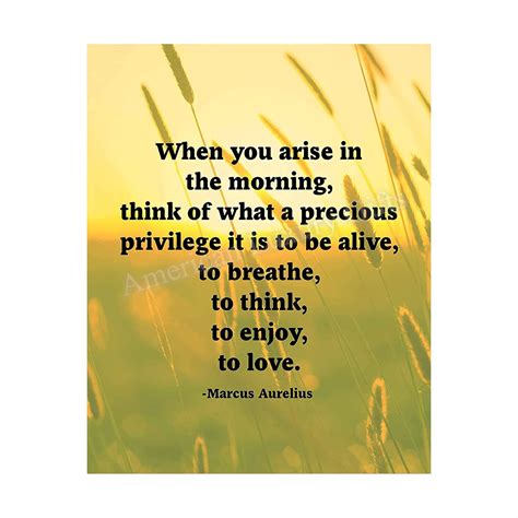 Buy Marcus Aurelius Quotes-"When You Arise in the Morning ...