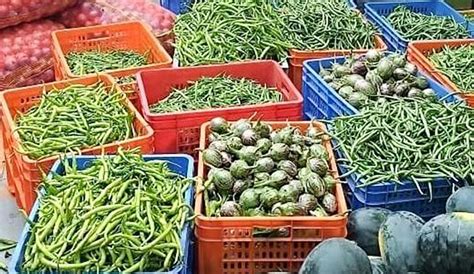 Grofers Pune | WhatsHot Pune