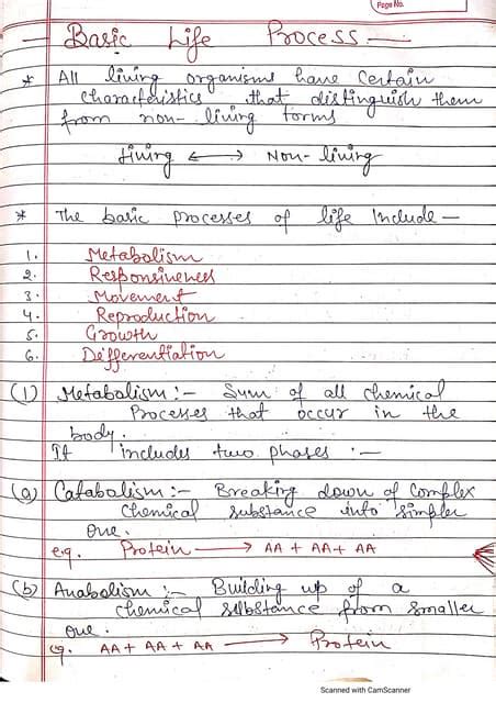 Image result for Basic Life Process