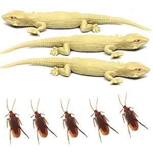 Buy an Traders Toys Fake Lizard House Gecko Rubber Practical Jokes and ...