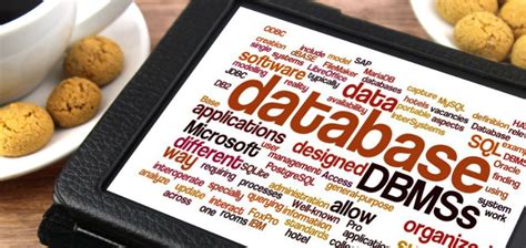 My Database Software 的图像结果