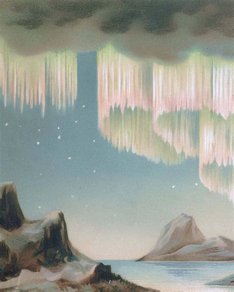 Image result for Flutter Using Warp