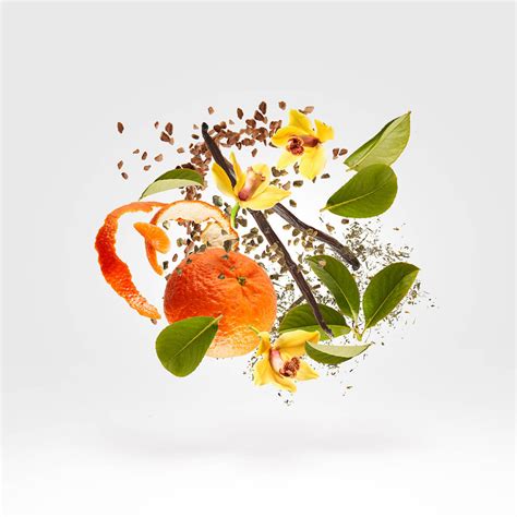 Xerjoff XJ 1861 Decas Eau de Parfum for Men – Perfume Network India