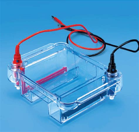 Tarsons Midi Submarine Electrophoresis Unit (Qty-1) (Code : 7050 ...