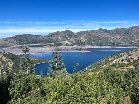 Best Beaches in Cougar - Sandee