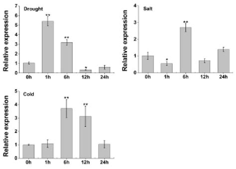 Transcriptomic Identification of Wheat AP2/ERF Transcription Factors ...