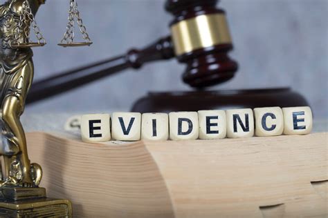 Evidence 的图像结果