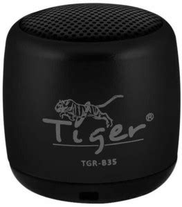 Buy Tiger TGR-B35 Sports 4hrs Playtime 4 W Bluetooth Speaker Online ...