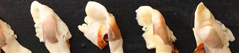 Image result for Conch Shell Meat
