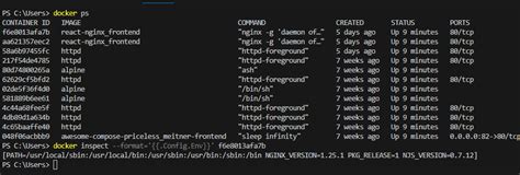 Image result for Docker Set Environment Variables