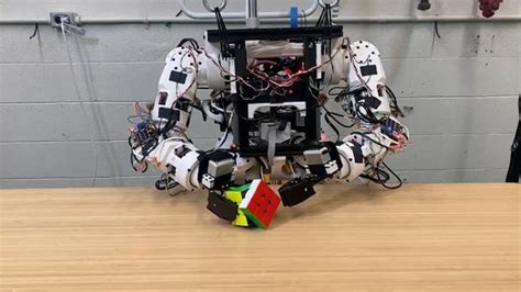 Humanoid Robotics Project 的图像结果