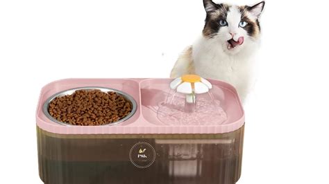 PSK PET MART Cat Water Fountain, Cat Feeding & Watering Supplies 2 in 1 ...