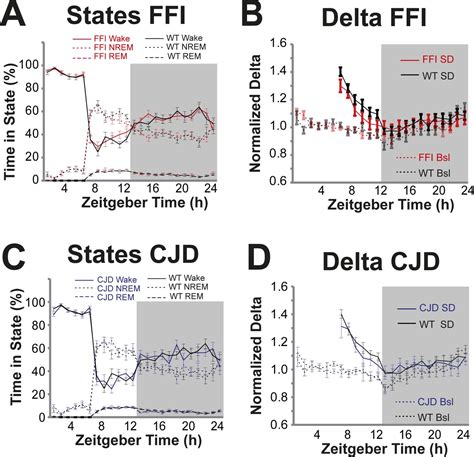 Translatome profiling in fatal familial insomnia implicates TOR signaling in somatostatin ...