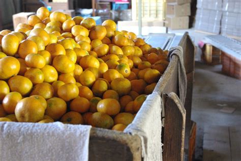 Vers l'île de Shikoku: - Le blog de Aurelia Guy