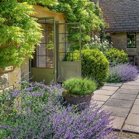How to grow lavender: beginners guide for pots and borders | Ideal Home
