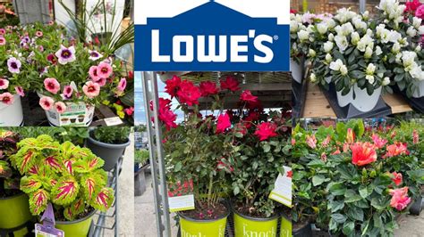 Image result for Lowe's Flower Garden