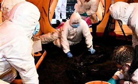 Exploding Woman Body 的图像结果