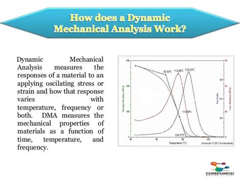 Dynamic Analysis in ANSYS Mechanical 的图像结果