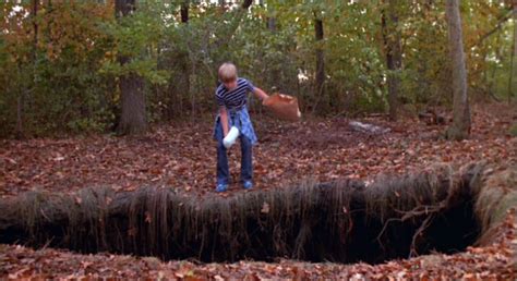 Pit Fall 1981 的图像结果