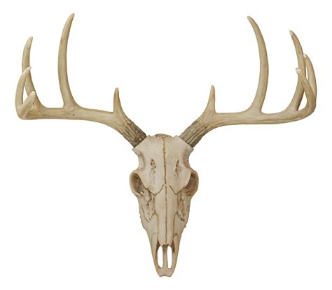 Deer Antler Skull Logo