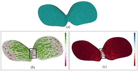 Convexity and Surface Quality Enhanced Curved Slicing for Support-Free ...