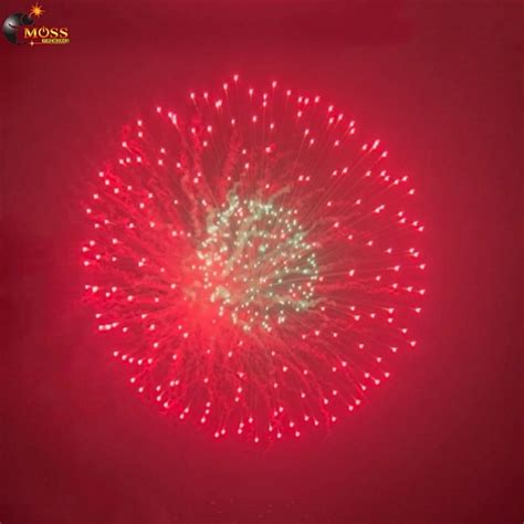 Image result for 16 Fireworks Shell