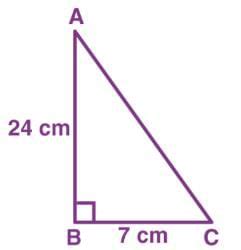 Practice Questions: Introduction to Trigonometry - Mathematics (Maths ...