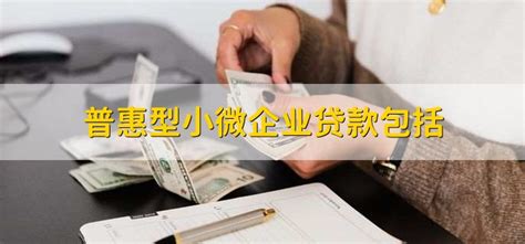 普惠型小微企业贷款包括 - 财梯网