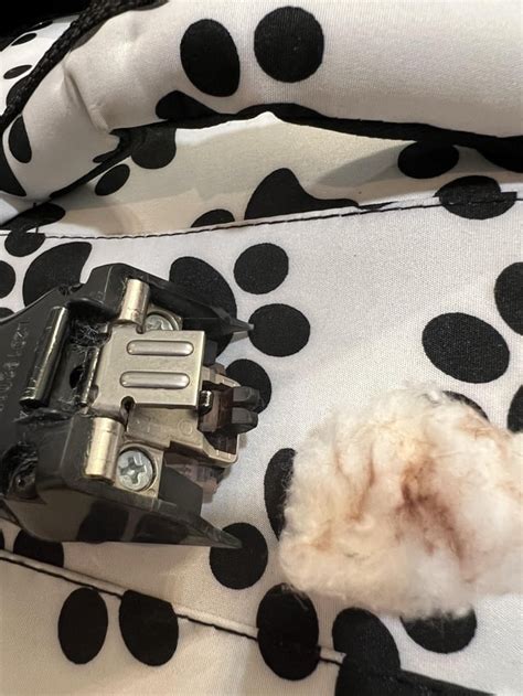 Image result for How to Clean Rust Off Clipper