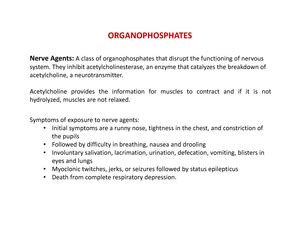 Ibuprofen 2 - Lecture notes L - The BHC Company Synthesis of Ibuprofen ...