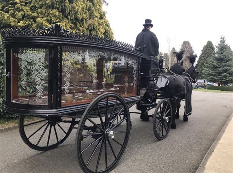 Our Services - Alder Forest