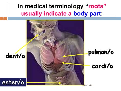 1. Medical Terminologies & CM ABBREVIATIONS.pptx