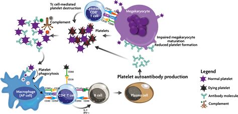 Immune Thrombocytopenia - OpenAnesthesia
