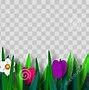 Image result for Spring Flower Border Clip Art