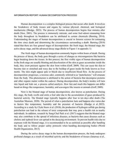 Decomposition Human Process 的图像结果