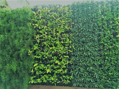 Geoscape | Vertical Garden in Chennai | Terrace Garden in Chennai ...