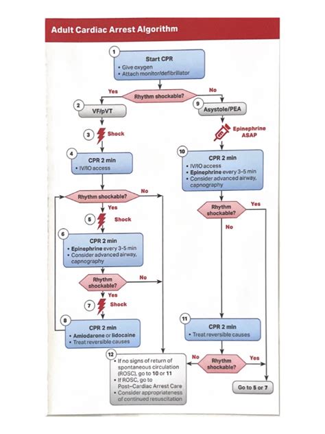 ACLS Algorithms 2020 的图像结果