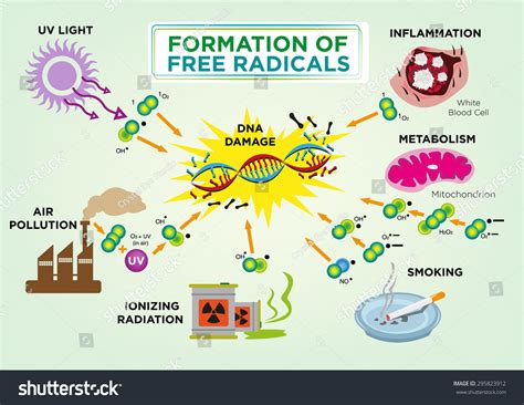 Image result for Free Radical Explain It