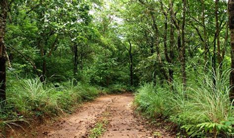 Research facilities: Vanasiri Evolutionary Ecology Lab