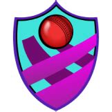 SET vs WAR Live Score: Scorecard, Ball by Ball Commentary - Match 25 ...