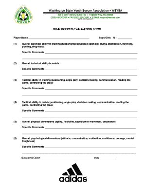 2014-2026 MT Blitzz FC Goalkeeper Evaluation Form - Fill Out, Sign ...