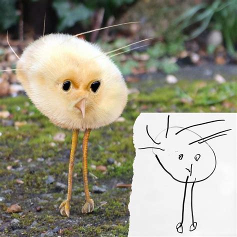 20 Kids' Drawings Turned Into Terrifying 'Real' Animals | DeMilked