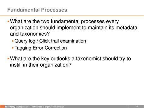 Image result for Support Processes Taxonomy