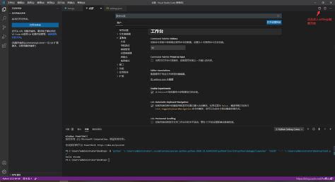 Visual Studio Code Python Code Runner Configuration 的图像结果