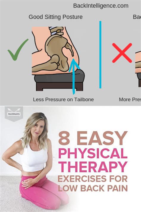 Image result for Physical Therapy Back Exercises