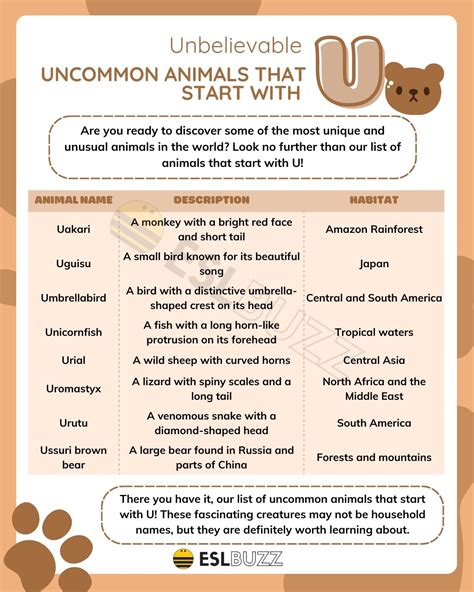 Animals That Start with U for You to Uncover - ESLBUZZ