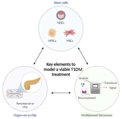 Type 1 Diabetes Mellitus: A Review on Advances and Challenges in ...