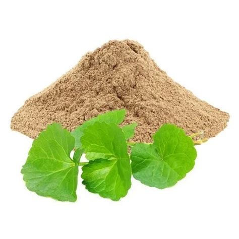 100% Natural and Delicious Gotu Kola Powder – Shreena Enterprise