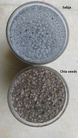 7 Differences between Chia Seeds & Sabja Seeds – Naturally Yours