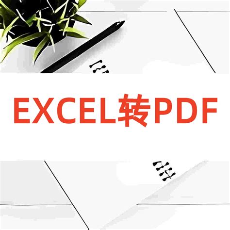 Convert Excel 2010 to PDF 的图像结果